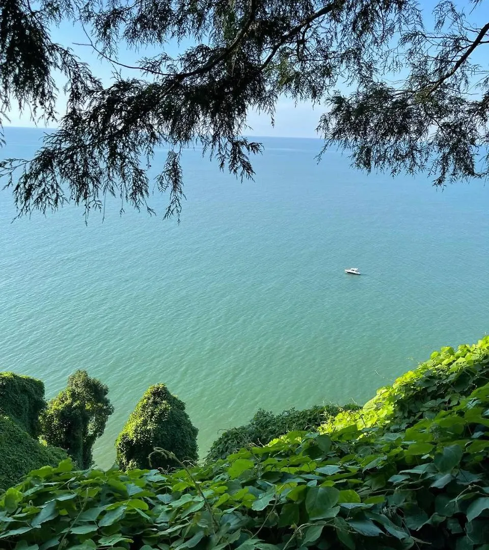 Botanical Breeze Apartment Batumi Georgia